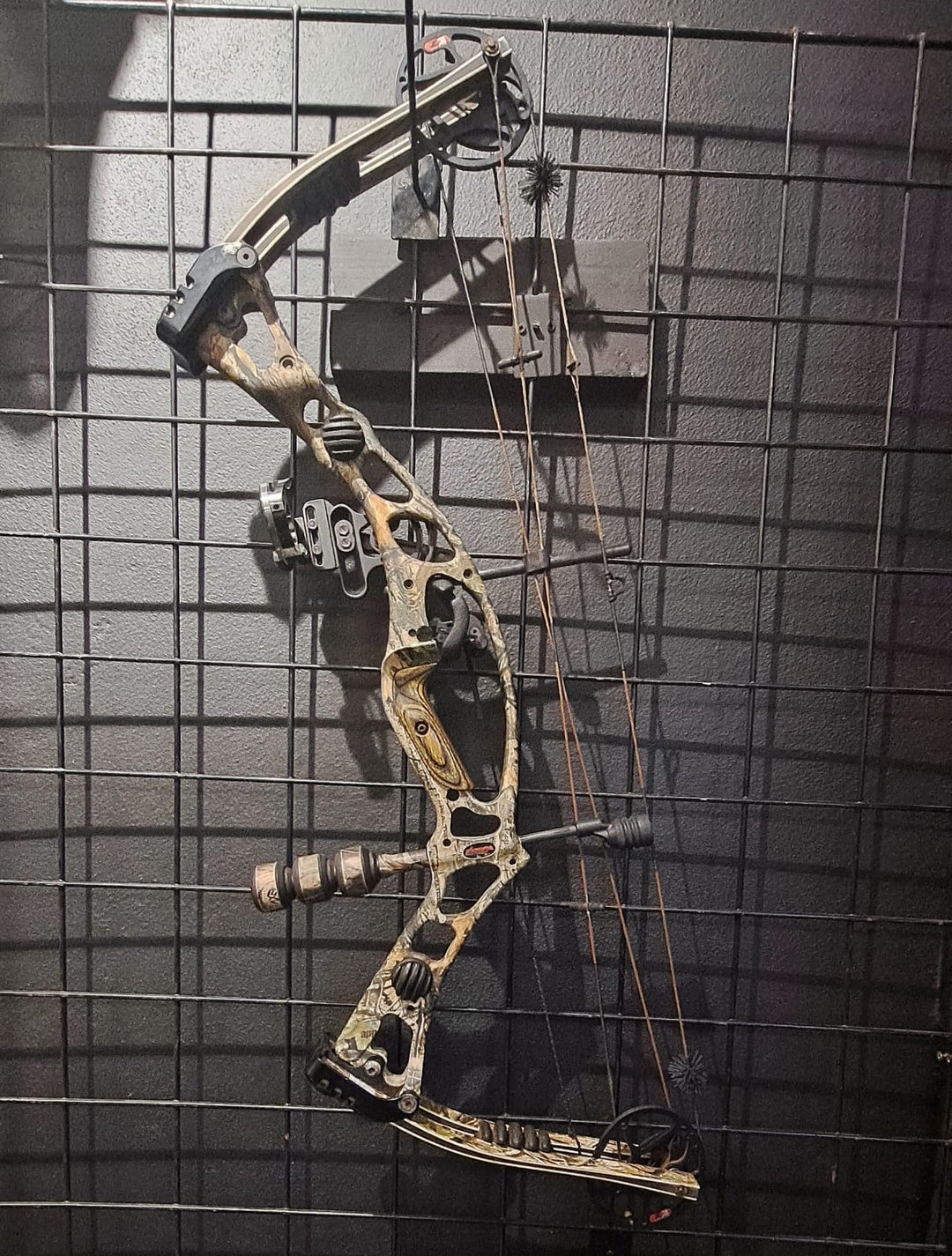 Hoyt Katera