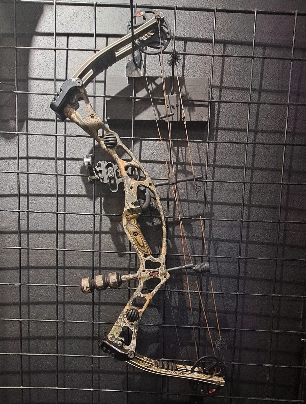 Hoyt Katera