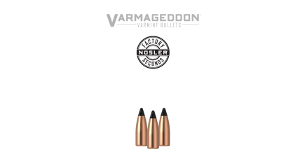 Nosler P 17 20GR NOSLER VARMAG FB TIPPED (100)