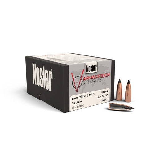 Nosler P 6MM 70GR NOSLER VARMAG FB TIPPED (100)