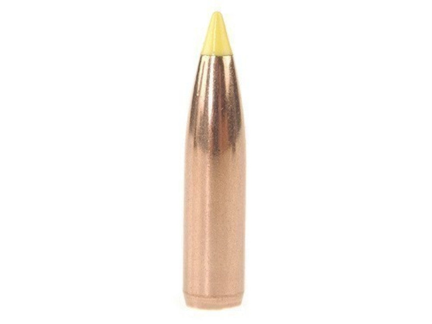Nosler P 270 140GR NOSLER BALLISTIC TIP (50)