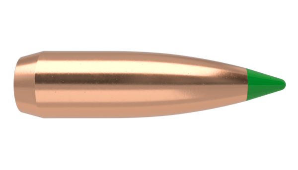 Nosler P 308 150GR NOSLER BALLISTIC TIP (50)