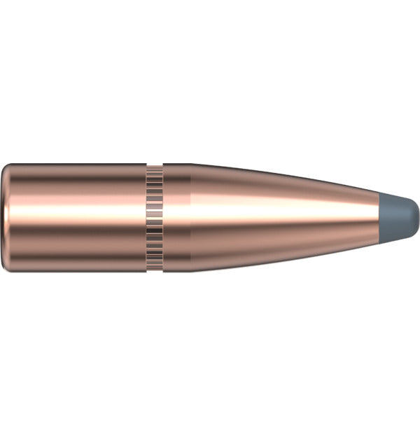 Hornady P 308 165GR HORNADY INTERLOCK SP (100)