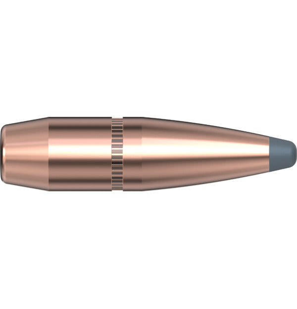 Hornady P 308 165GR HORNADY INTERLOCK BTSP (100)
