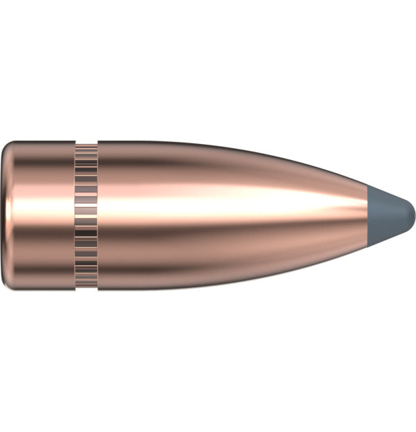 Hornady P 310 (7.62X39) 123GR HORNADY INTERLOCK SP (100)