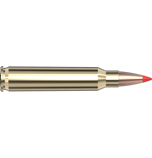 Hornady AMMO 223 REM 53GR HORNADY V-MAX SPF (20)