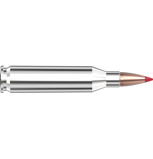 Hornady AMMO 243 WIN 80GR HORNADY CX OTF (20)