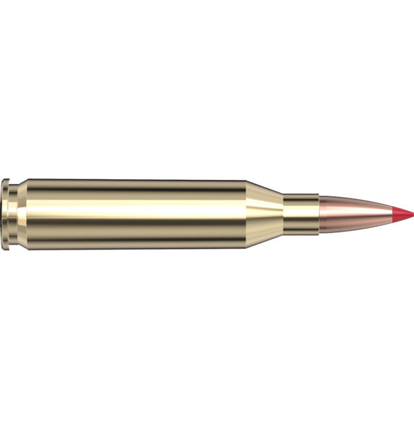 Hornady AMMO 243 WIN 90GR HORNADY ELD-X PRECISION HUN (20)