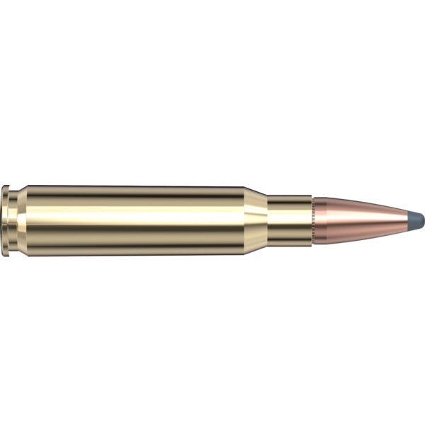 Hornady AMMO 308 WIN 180GR HORNADY SP INTL (20)
