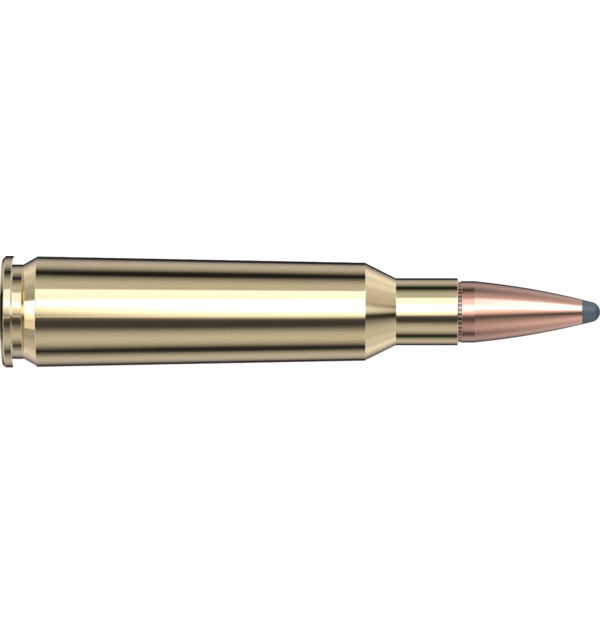 Hornady AMMO 250 SAVAGE HORNADY 100GR INTERLOCK (20)