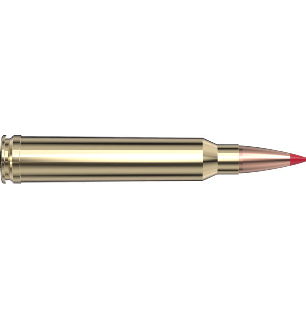 Hornady AMMO 300 WIN MAG 200GR HORNADY ELD-X PRECISION HUNT(20)