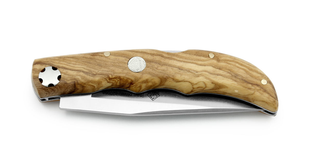 Puma IP JAEN