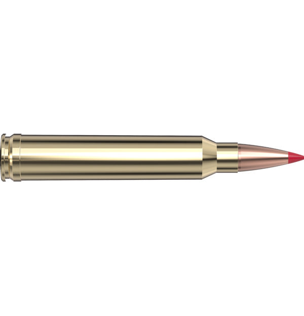 Hornady AMMO 300 WIN MAG 178GR HORNADY ELD-X PRECISION HUNT(20)