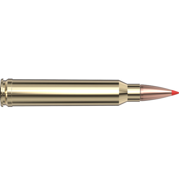 Hornady AMMO 300 WIN MAG 180GR HORNADY SST SPF (20)