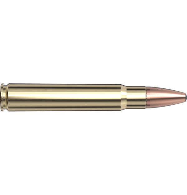 Hornady AMMO 9.3X62 286GR HORNADY SP INTL (20)