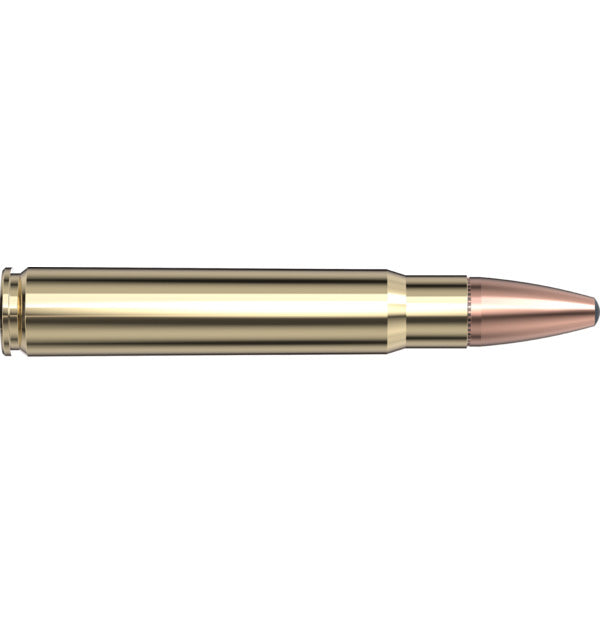 Hornady AMMO 9.3X62 286GR HORNADY SP-RP (20)