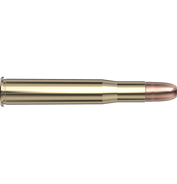 Hornady AMMO 450-400 3IN 400GR HORNADY DGS (20)