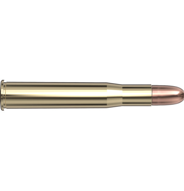 Hornady AMMO 450-400 3INCH 400GR HORNADY DGX-B (20)