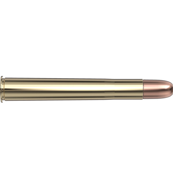 Hornady AMMO 450 NITRO EXPRESS 480GR HORNADY DGS (20)
