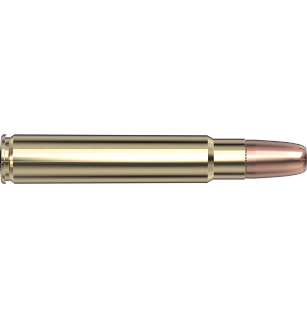Hornady AMMO 416 RUGER 400GR HORNADY DGX-B