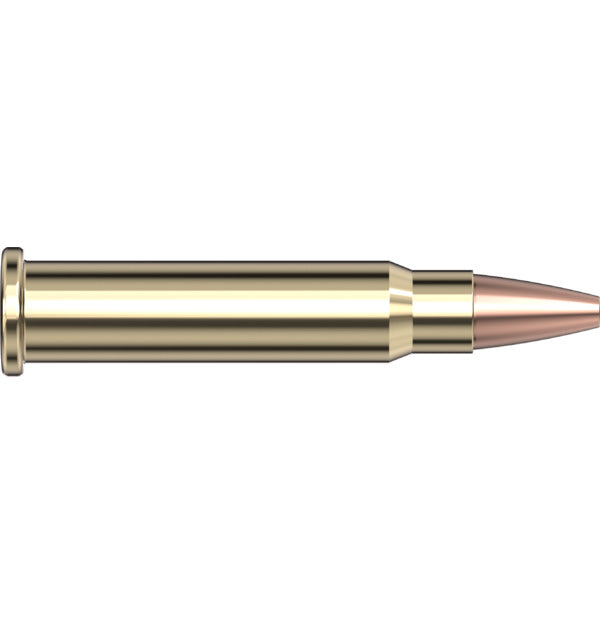 Hornady AMMO 17 HMR 20GR HORNADY XTP (50)