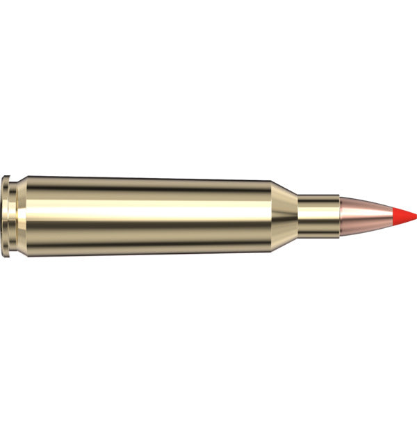 Hornady AMMO 22-250 REM 55GR HORNADY V-MAX (20)