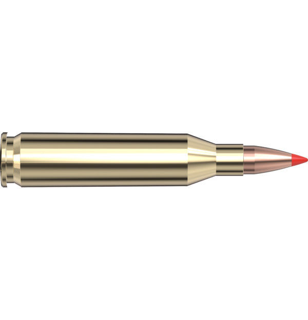 Hornady AMMO 243 WIN 75GR HORNADY V-MAX SPF (20)