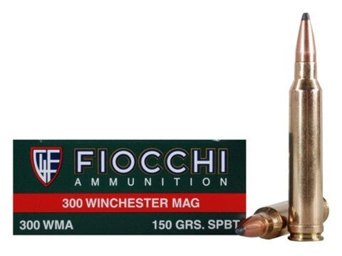 Fiocchi 300 WIN MAG 180GR EPN PER 10
