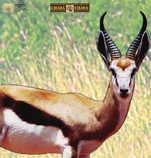 Garipani TARGET GARIPANI CHASA SPRINGBOK (MIN ORDER QTY:10)