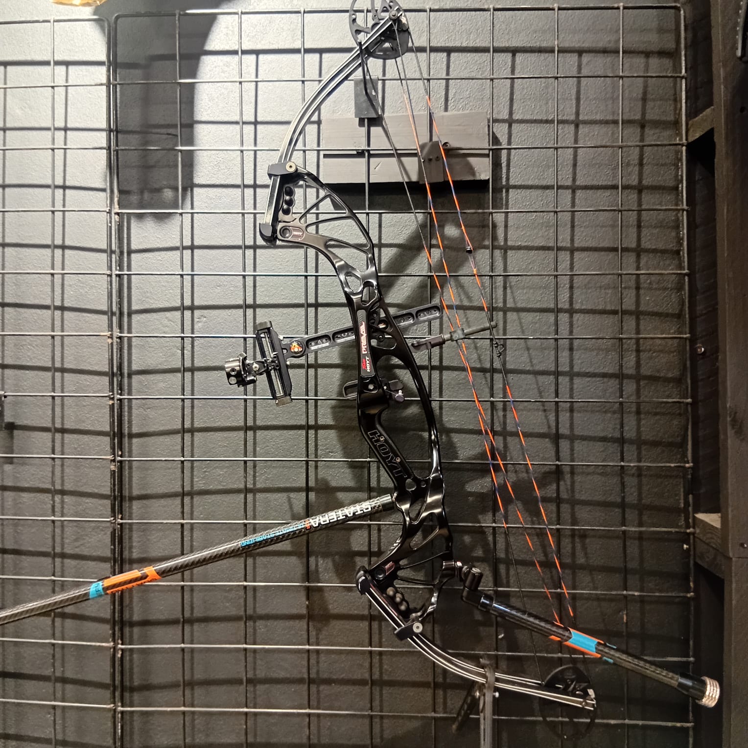 Hoyt Prevail