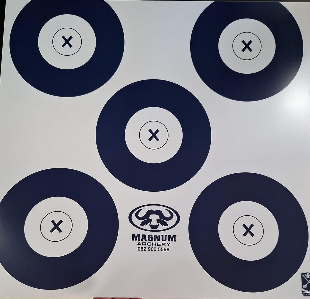 Indoor Target