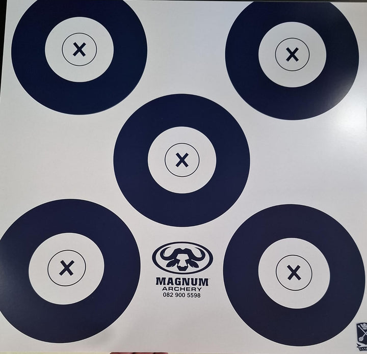 Indoor Target