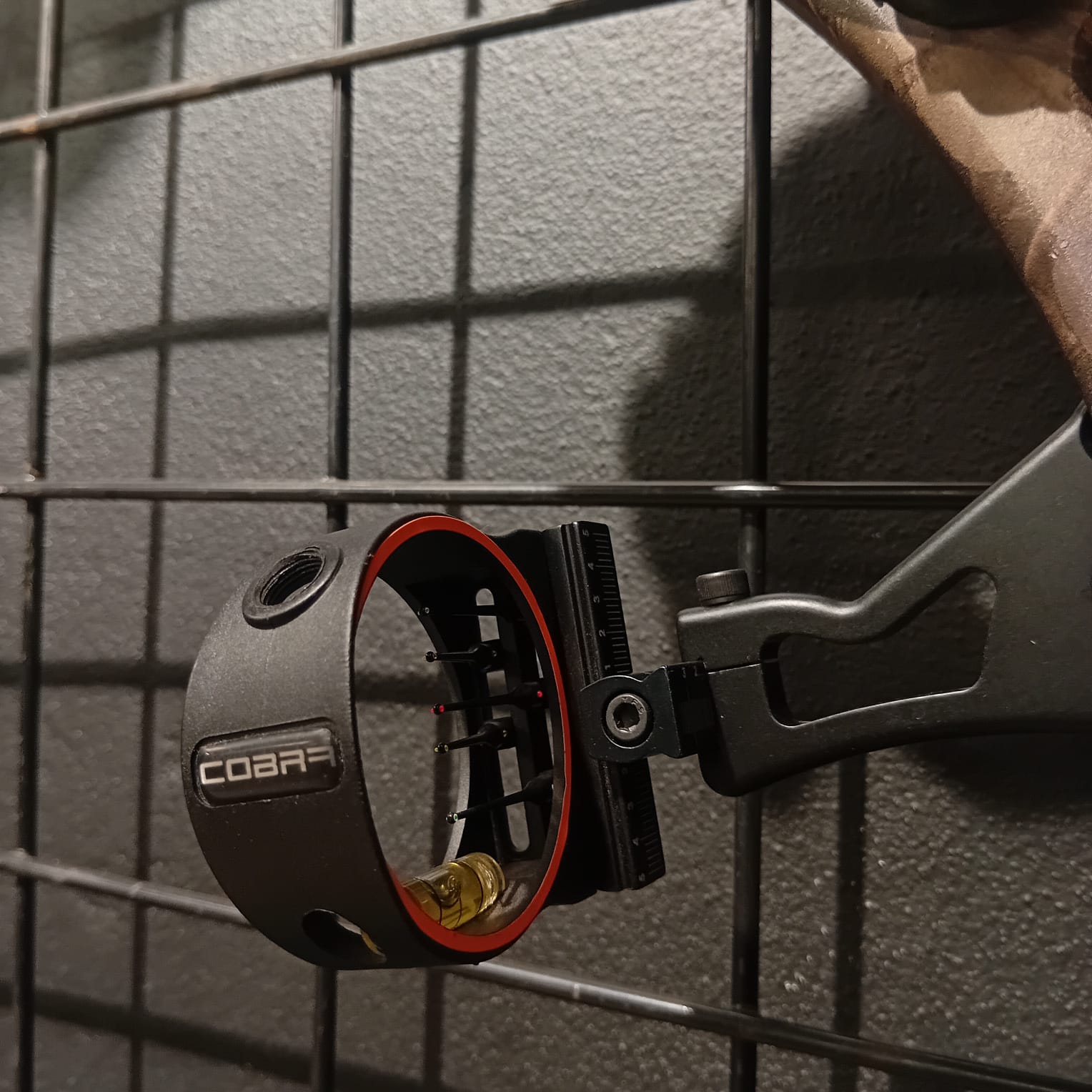 Hoyt Vectrix XT500