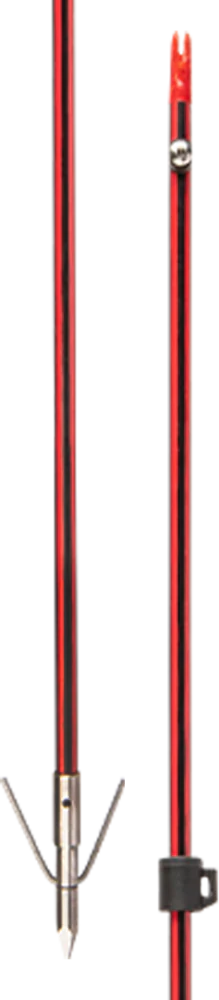 Cajun Wasp Arrow with Piranha XT Point