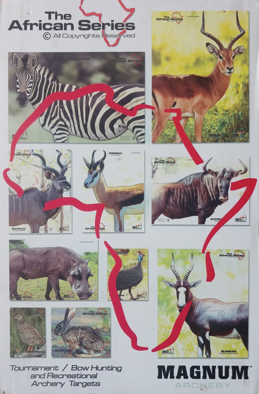 The African Series 2D Target Combo