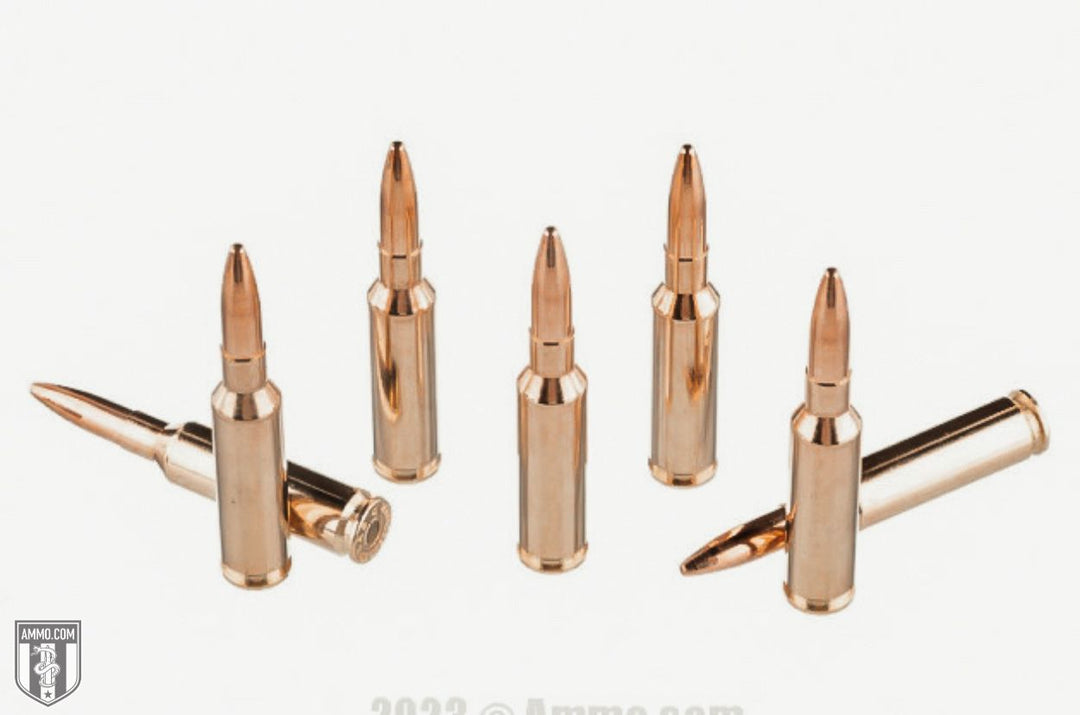 Fiocchi AMMO 20BR 7.5(24GRAM) FIOCCHI F20 TRAP (250)