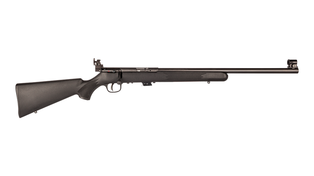 Savage RIFLE 22 LR SAVAGE MARKII FV-SR LANDRY