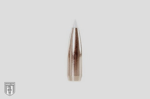 Nosler AMMO 375 H&amp;H 300GR TG NOSLER ACCUBOND (20)