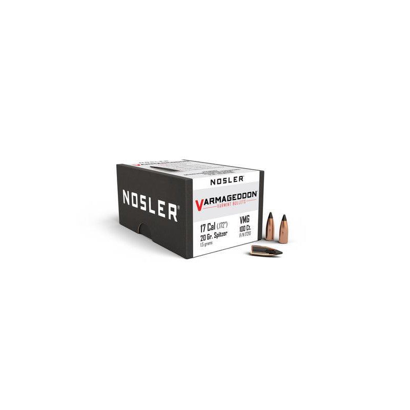 Nosler P 6MM 70GR NOSLER VARMAG FB TIPPED (250)