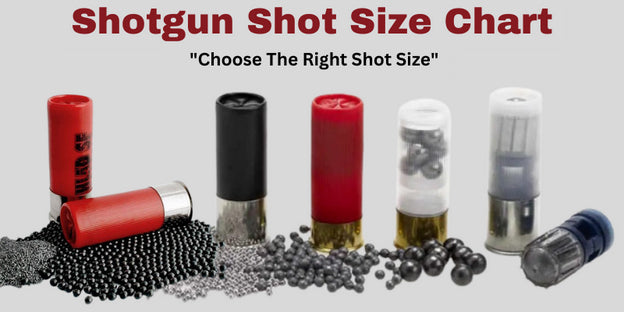 Shotgun Cartridges 12Ga : 12GA NO LG 36GR ALPHAMAX 70MM PER 250
