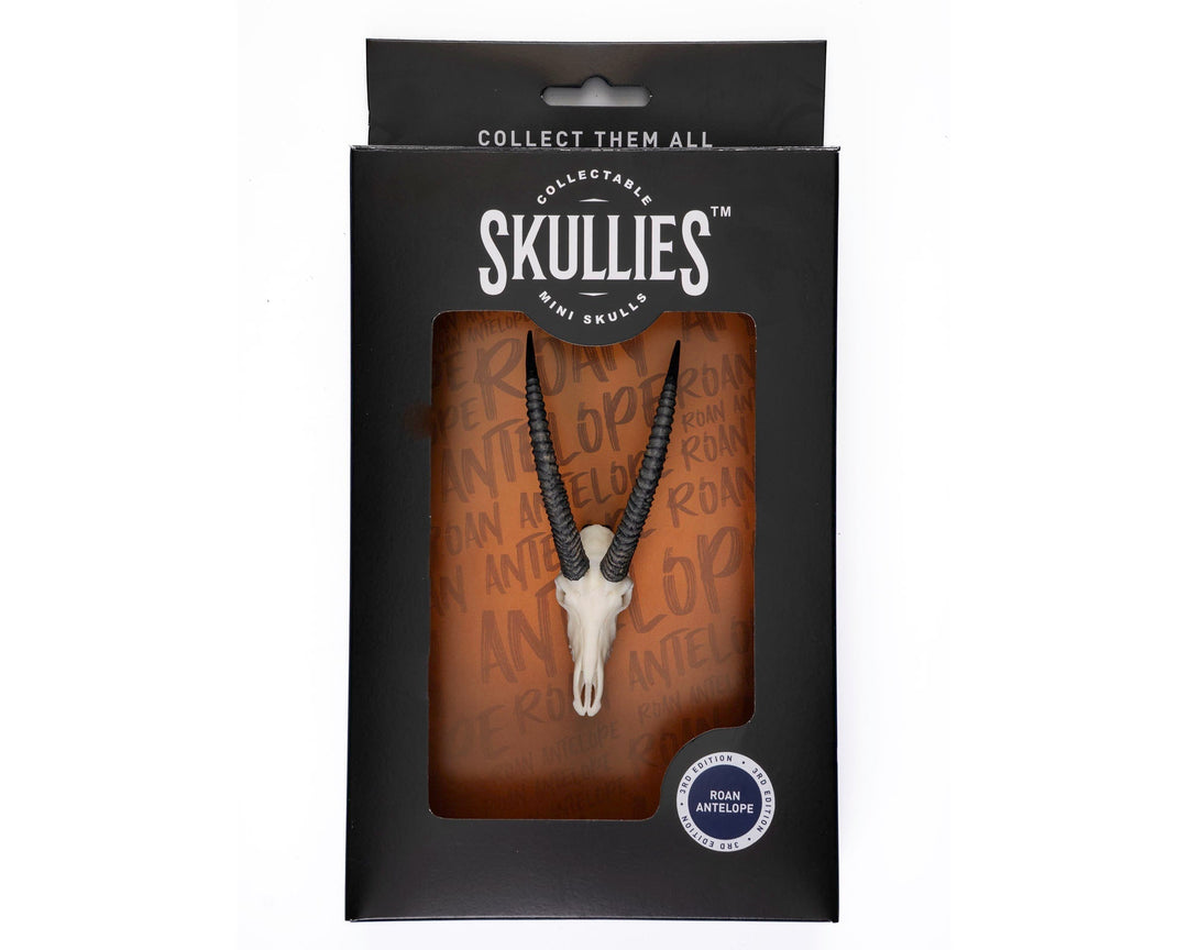 Roan Skullie