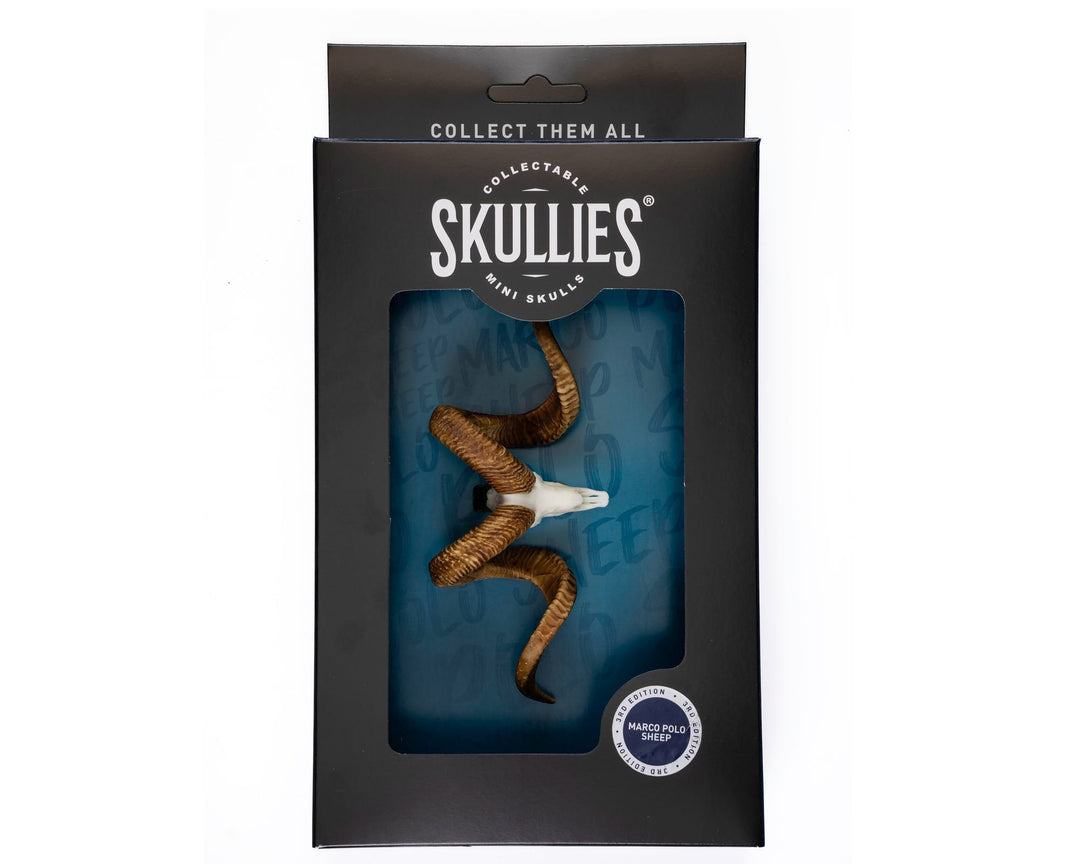 Marco Polo Skullie