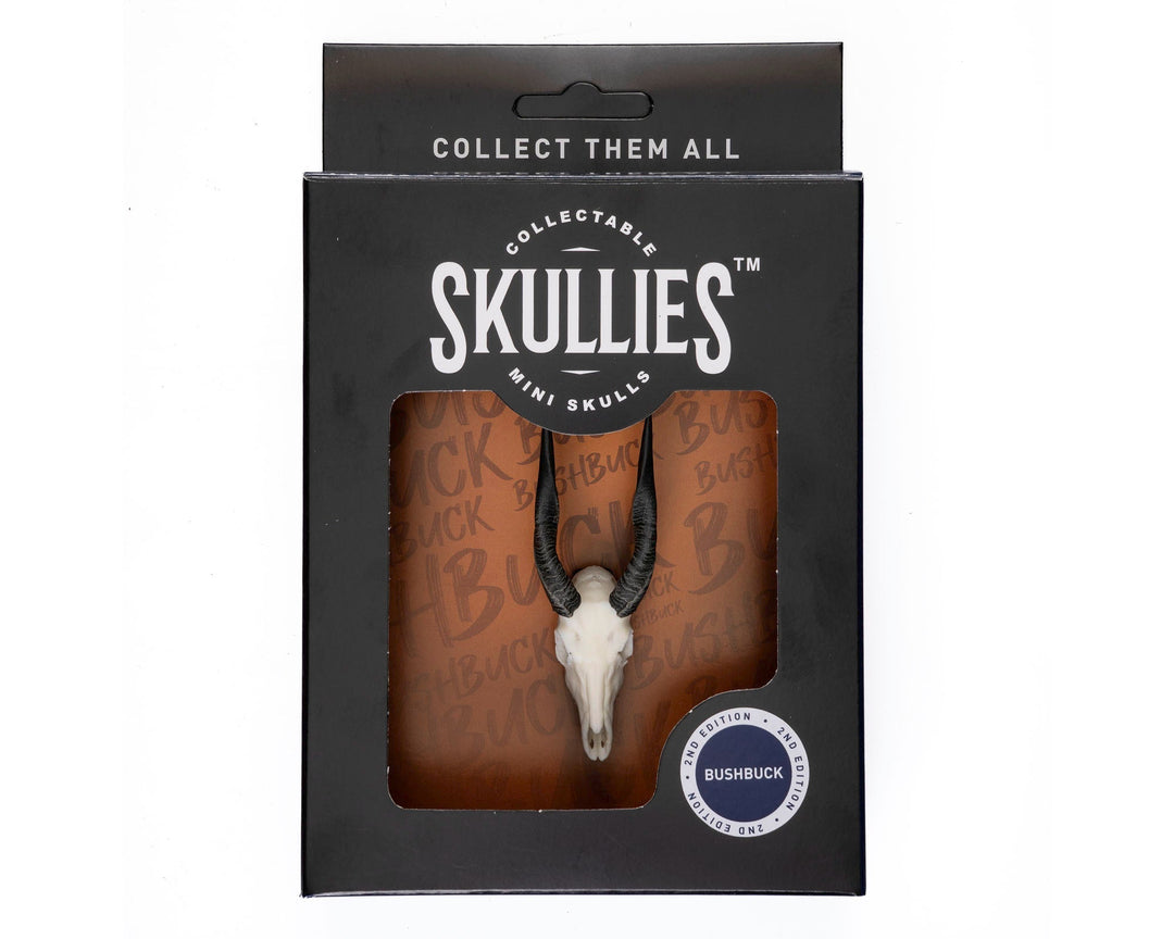 Bushbuck Skullie