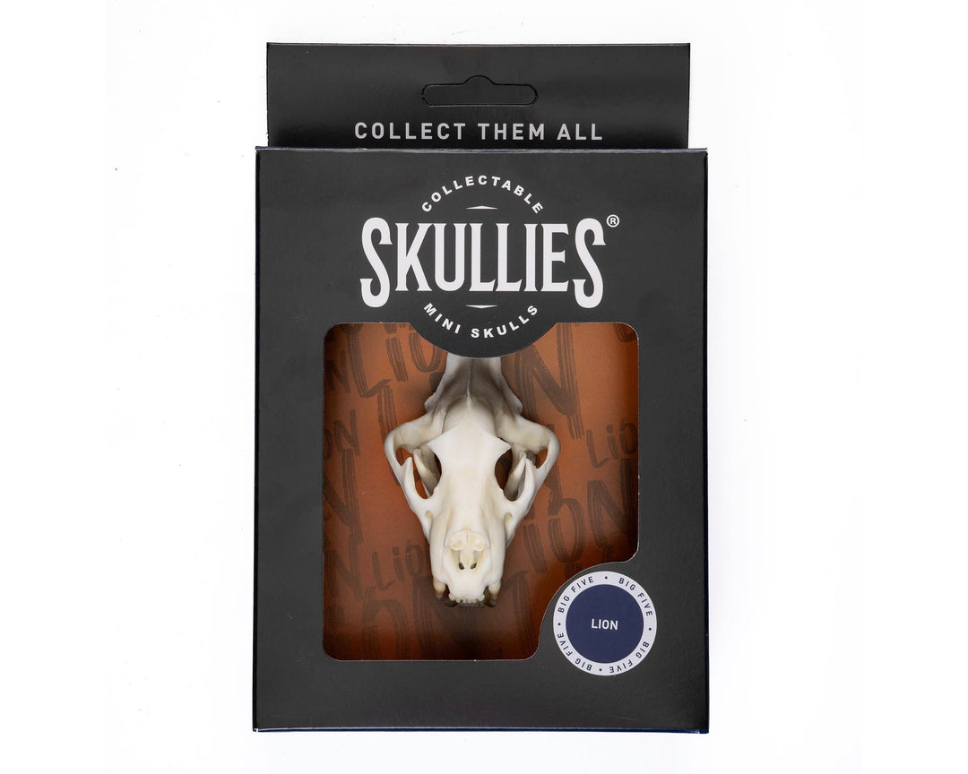 Lion Skullie